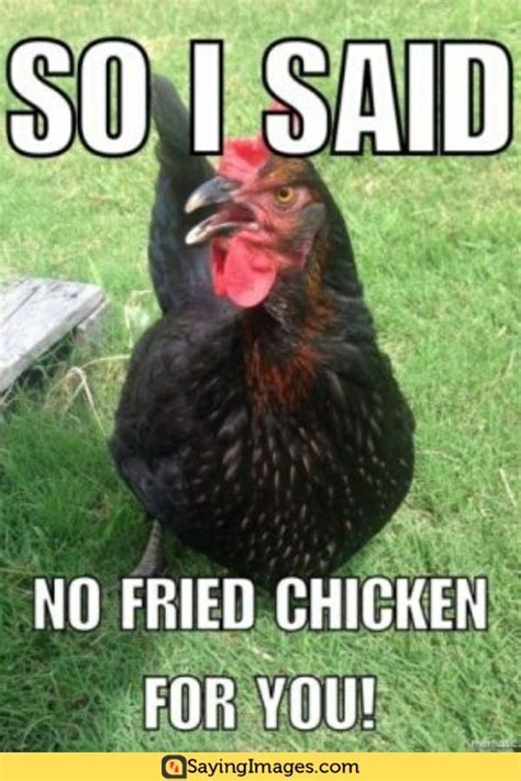 is that a chicken meme|chicken related funny memes.